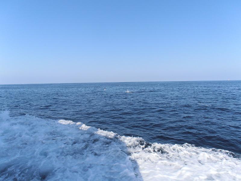 P2260071.JPG