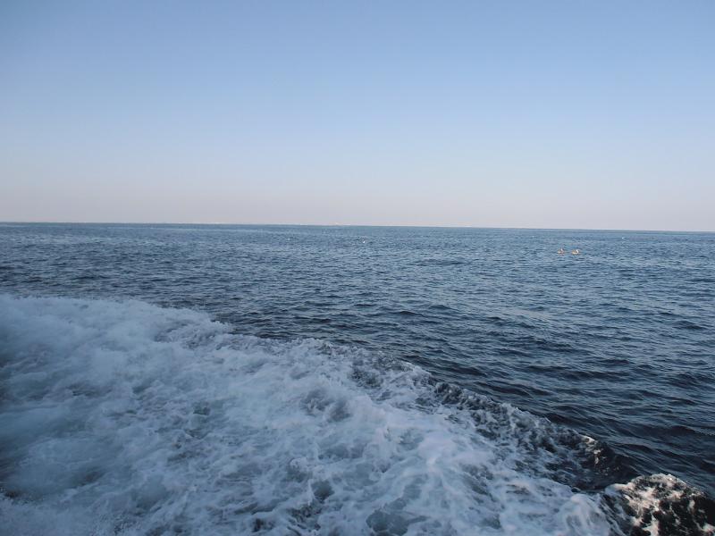 P2260074.JPG