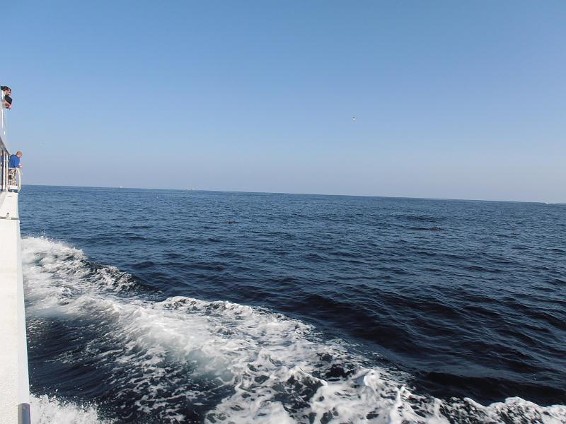 P2260076.JPG