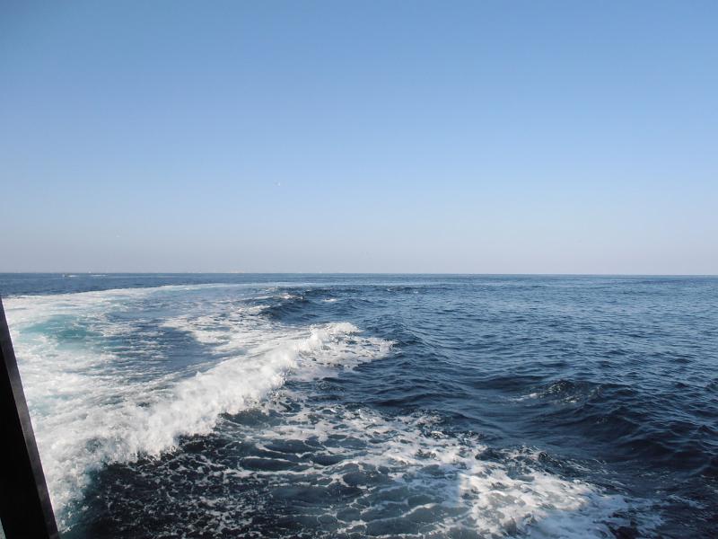 P2260084.JPG