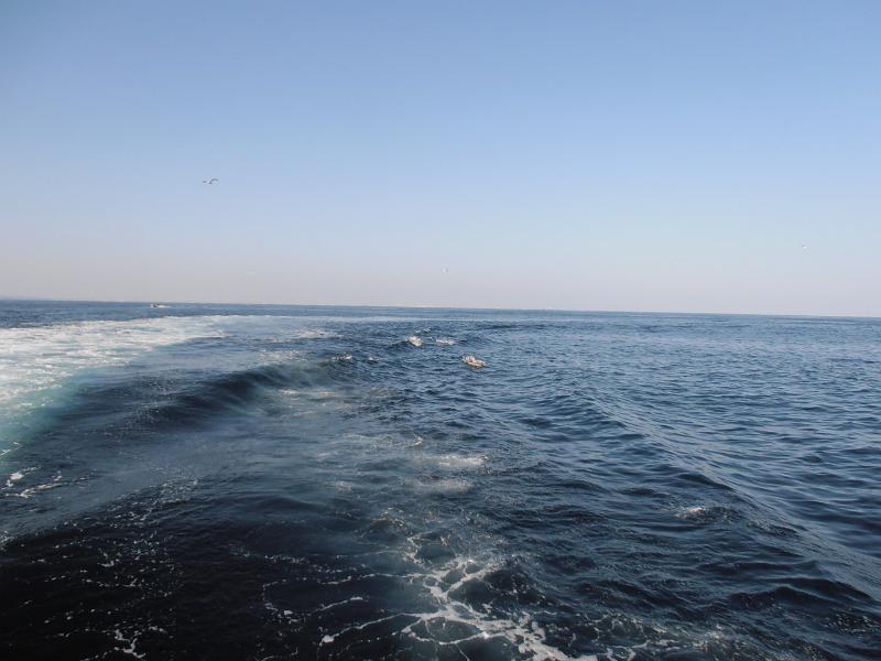 P2260086.JPG