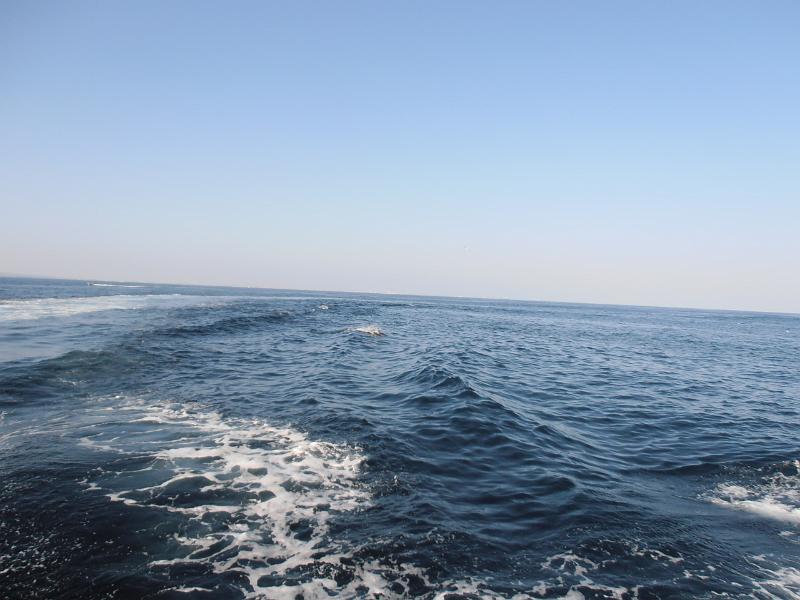 P2260087.JPG