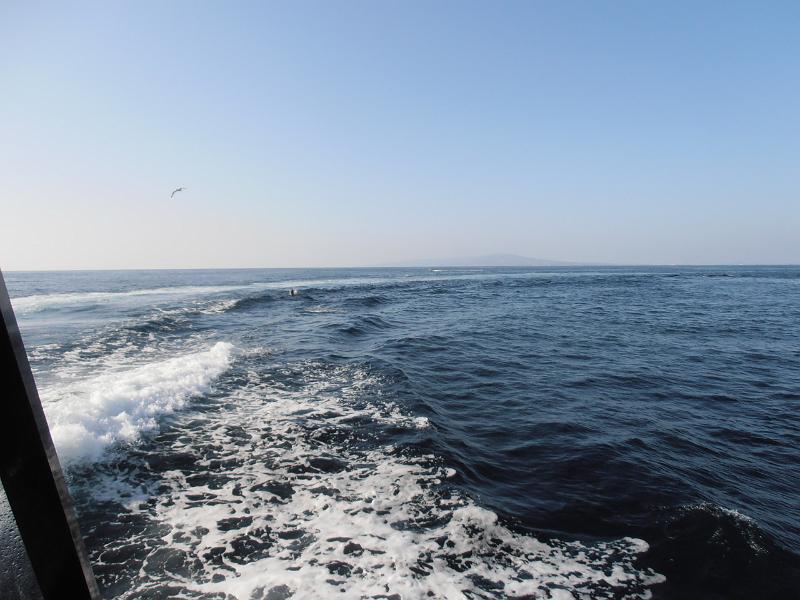 P2260090.JPG