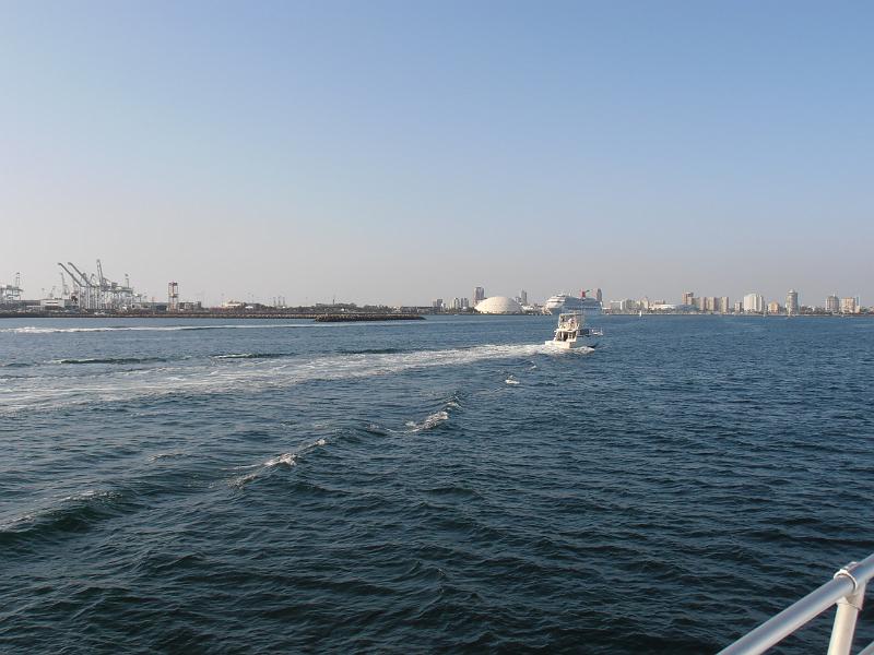 P2260093.JPG