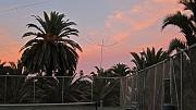 IMG_0082