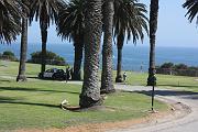 MO_IMG_7555