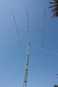MO_IMG_7561