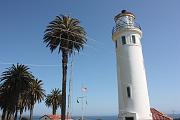 MO_IMG_7608
