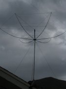 IMG_0471