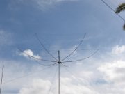IMG_2334