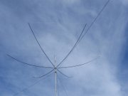 IMG_2335