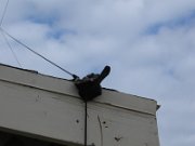 IMG_2357