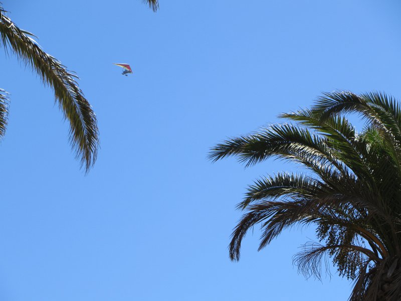 IMG_1101.JPG - More plane visitors