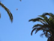 IMG_1101