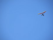 IMG_1102