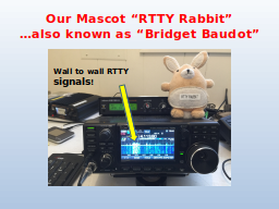 Our Mascot “RTTY Rabbit”
…also known as “Bridget Baudot”