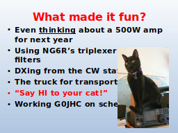 What made it fun?
