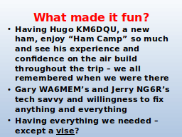What made it fun?