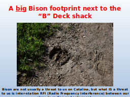 A big Bison footprint next to the “B” Deck shack